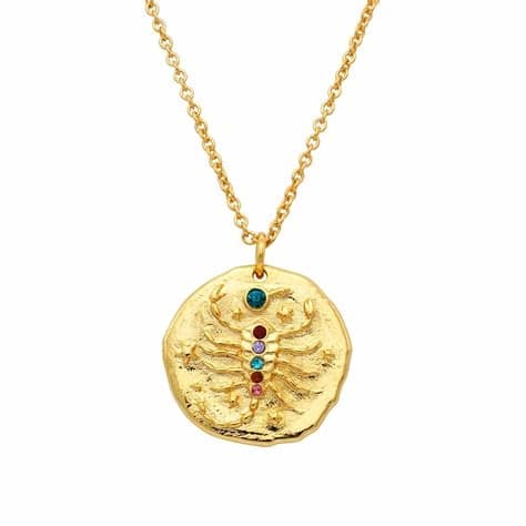 18K Gold Zodiac Necklace