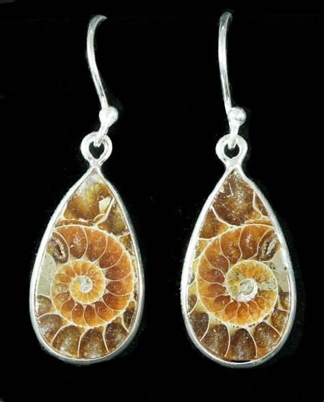 Fossil Earrings Sale