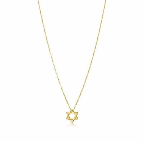 Tiffany And Co Star Of David Necklace